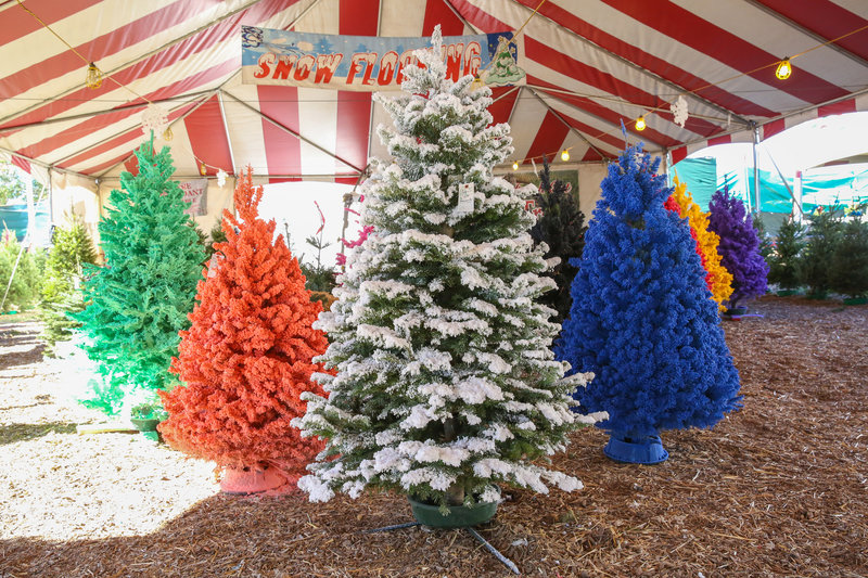 White and colored flocked trees